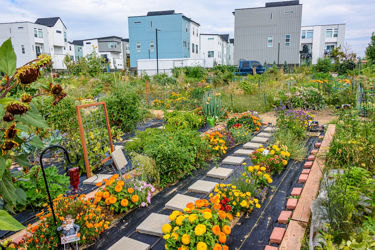 A planted rain garden within a residential street