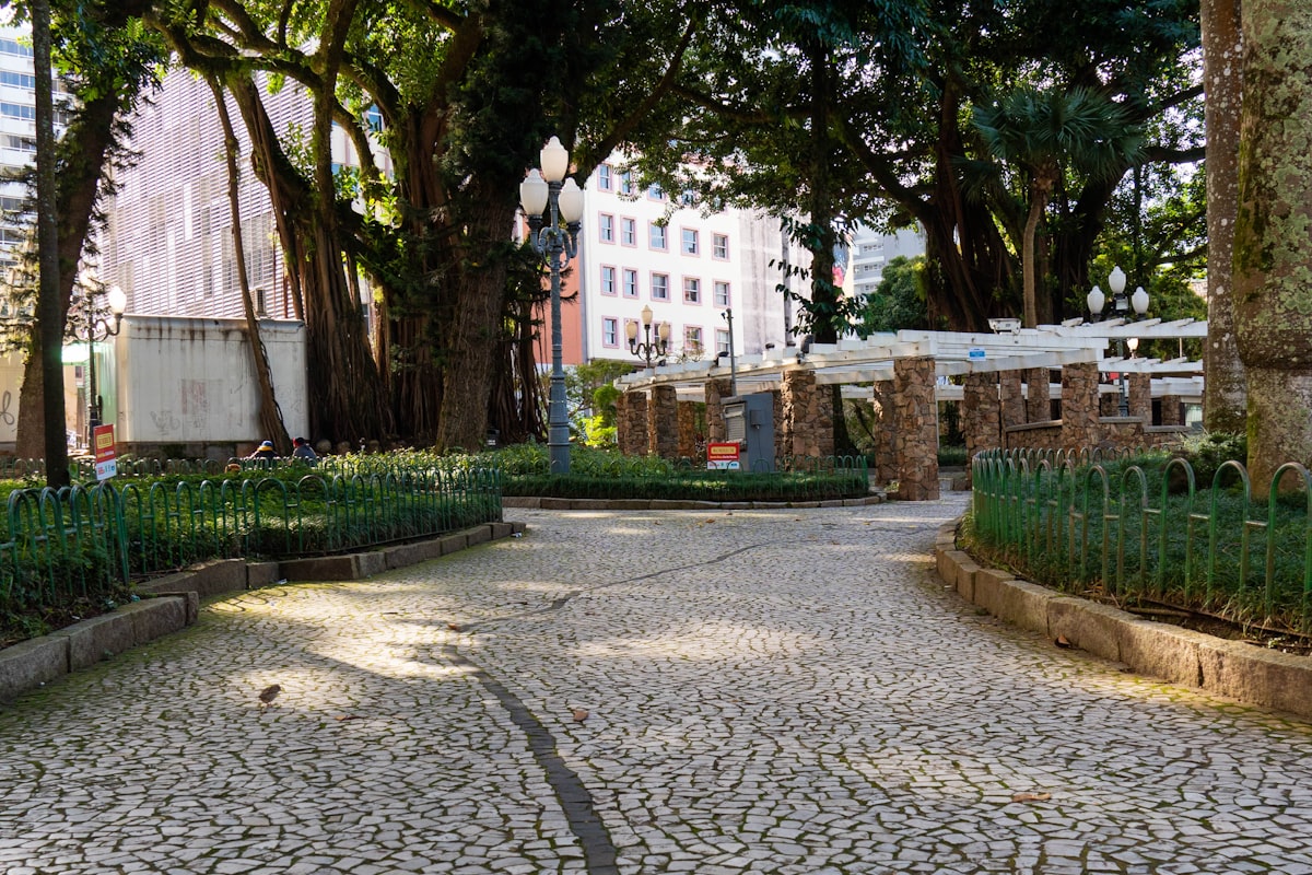A landscape-led public space with planting and trees