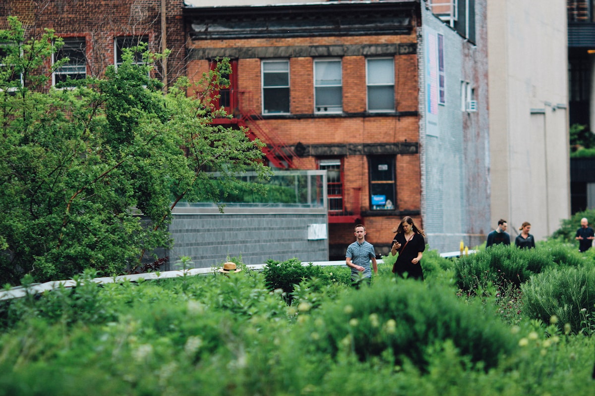 An existing brick building renewed with new planting
